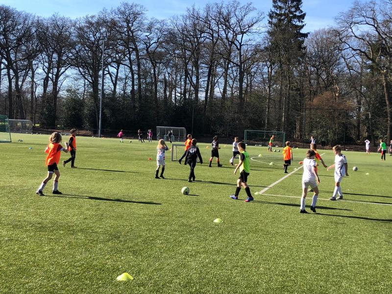 AFGELAST - Berkeldag, Dartsavond en Vossenjacht