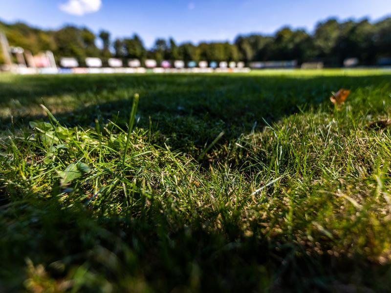 Update vertrouwenspersoon Wittenhorst