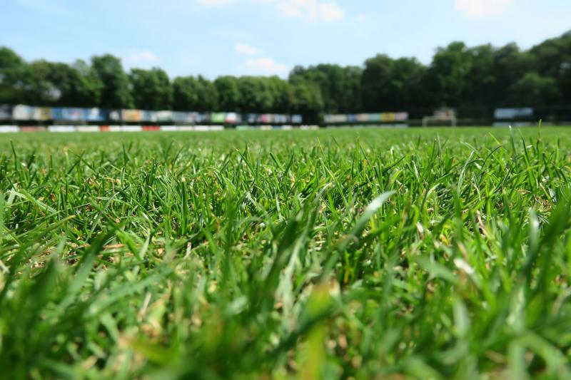 Voorbeschouwing Dongen-Wittenhorst