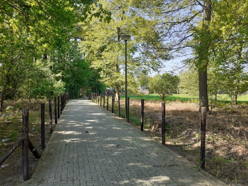 Moedig Wittenhorst verliest bij Venray