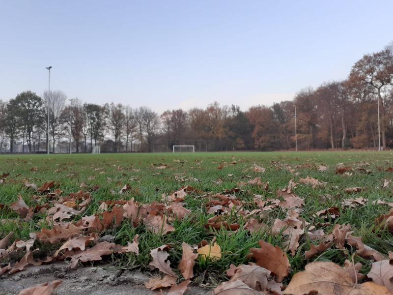 Trainingsschema vanaf woensdag 31 maart