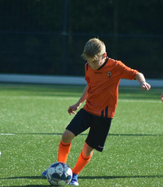 Instromen bij Wittenhorst: Sef