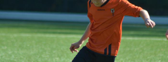 Instromen bij Wittenhorst: Sef