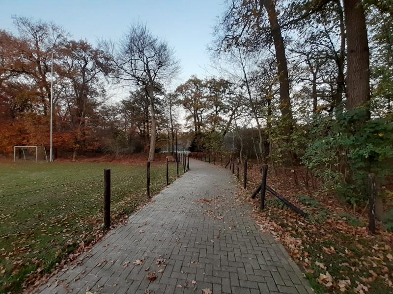 Nipte thuisnederlaag Wittenhorst tegen ZSV