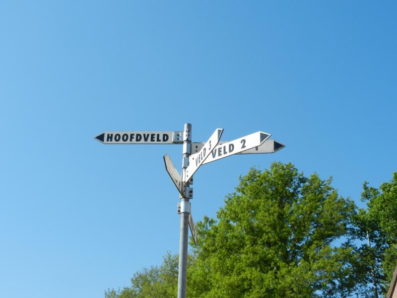 Welkomstbuddy's bij Wittenhorst zorgen voor zachte landing