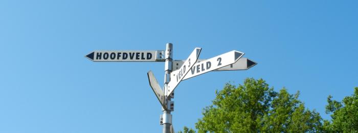 Welkomstbuddy's bij Wittenhorst zorgen voor zachte landing